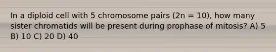 In a diploid cell with 5 chromosome pairs (2n = 10), how many sister chromatids will be present during prophase of mitosis? A) 5 B) 10 C) 20 D) 40