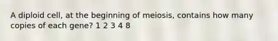 A diploid cell, at the beginning of meiosis, contains how many copies of each gene? 1 2 3 4 8