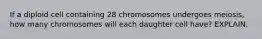 If a diploid cell containing 28 chromosomes undergoes meiosis, how many chromosomes will each daughter cell have? EXPLAIN.