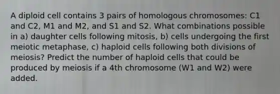 A diploid cell contains 3 pairs of homologous chromosomes: C1 and C2, M1 and M2, and S1 and S2. What combinations possible in a) daughter cells following mitosis, b) cells undergoing the first meiotic metaphase, c) haploid cells following both divisions of meiosis? Predict the number of haploid cells that could be produced by meiosis if a 4th chromosome (W1 and W2) were added.