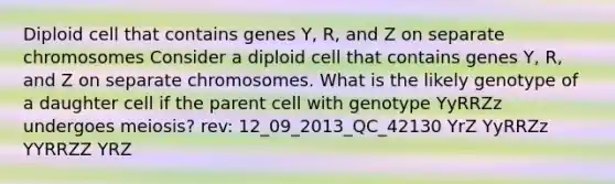 Diploid cell that contains genes Y, R, and Z on separate chromosomes Consider a diploid cell that contains genes Y, R, and Z on separate chromosomes. What is the likely genotype of a daughter cell if the parent cell with genotype YyRRZz undergoes meiosis? rev: 12_09_2013_QC_42130 YrZ YyRRZz YYRRZZ YRZ