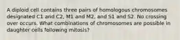 A diploid cell contains three pairs of homologous chromosomes designated C1 and C2, M1 and M2, and S1 and S2. No crossing over occurs. What combinations of chromosomes are possible in daughter cells following mitosis?