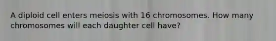 A diploid cell enters meiosis with 16 chromosomes. How many chromosomes will each daughter cell have?