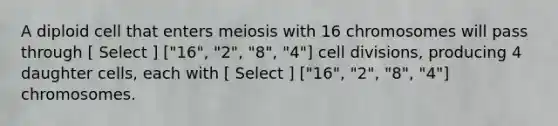 A diploid cell that enters meiosis with 16 chromosomes will pass through [ Select ] ["16", "2", "8", "4"] cell divisions, producing 4 daughter cells, each with [ Select ] ["16", "2", "8", "4"] chromosomes.