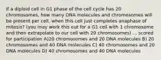 If a diploid cell in G1 phase of the cell cycle has 20 chromosomes, how many DNA molecules and chromosomes will be present per cell, when this cell just completes anaphase of mitosis? (you may work this out for a G1 cell with 1 chromosome and then extrapolate to our cell with 20 chromosomes) ... scored for participation A)20 chromosomes and 20 DNA molecules B) 20 chromosomes and 40 DNA molecules C) 40 chromosomes and 20 DNA molecules D) 40 chromosomes and 40 DNA molecules