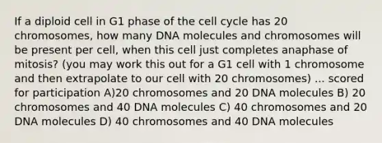 If a diploid cell in G1 phase of the cell cycle has 20 chromosomes, how many DNA molecules and chromosomes will be present per cell, when this cell just completes anaphase of mitosis? (you may work this out for a G1 cell with 1 chromosome and then extrapolate to our cell with 20 chromosomes) ... scored for participation A)20 chromosomes and 20 DNA molecules B) 20 chromosomes and 40 DNA molecules C) 40 chromosomes and 20 DNA molecules D) 40 chromosomes and 40 DNA molecules