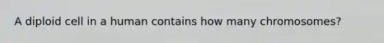 A diploid cell in a human contains how many chromosomes?