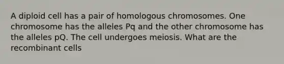 A diploid cell has a pair of homologous chromosomes. One chromosome has the alleles Pq and the other chromosome has the alleles pQ. The cell undergoes meiosis. What are the recombinant cells