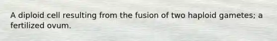 A diploid cell resulting from the fusion of two haploid gametes; a fertilized ovum.