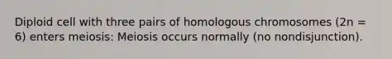 Diploid cell with three pairs of homologous chromosomes (2n = 6) enters meiosis: Meiosis occurs normally (no nondisjunction).