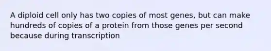 A diploid cell only has two copies of most genes, but can make hundreds of copies of a protein from those genes per second because during transcription