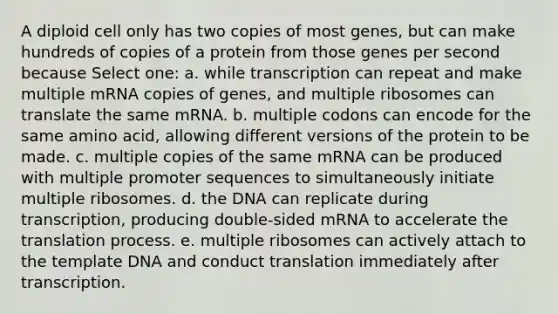 A diploid cell only has two copies of most genes, but can make hundreds of copies of a protein from those genes per second because Select one: a. while transcription can repeat and make multiple mRNA copies of genes, and multiple ribosomes can translate the same mRNA. b. multiple codons can encode for the same amino acid, allowing different versions of the protein to be made. c. multiple copies of the same mRNA can be produced with multiple promoter sequences to simultaneously initiate multiple ribosomes. d. the DNA can replicate during transcription, producing double-sided mRNA to accelerate the translation process. e. multiple ribosomes can actively attach to the template DNA and conduct translation immediately after transcription.