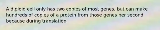 A diploid cell only has two copies of most genes, but can make hundreds of copies of a protein from those genes per second because during translation