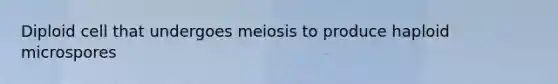 Diploid cell that undergoes meiosis to produce haploid microspores