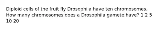 Diploid cells of the fruit fly Drosophila have ten chromosomes. How many chromosomes does a Drosophila gamete have? 1 2 5 10 20