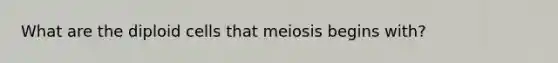 What are the diploid cells that meiosis begins with?