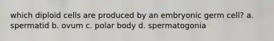 which diploid cells are produced by an embryonic germ cell? a. spermatid b. ovum c. polar body d. spermatogonia