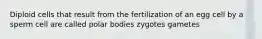 Diploid cells that result from the fertilization of an egg cell by a sperm cell are called polar bodies zygotes gametes