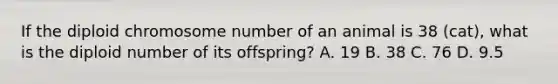 If the diploid chromosome number of an animal is 38 (cat), what is the diploid number of its offspring? A. 19 B. 38 C. 76 D. 9.5