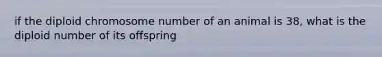 if the diploid chromosome number of an animal is 38, what is the diploid number of its offspring