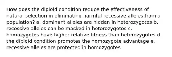 How does the diploid condition reduce the effectiveness of natural selection in eliminating harmful recessive alleles from a population? a. dominant alleles are hidden in heterozygotes b. recessive alleles can be masked in heterozygotes c. homozygotes have higher relative fitness than heterozygotes d. the diploid condition promotes the homozygote advantage e. recessive alleles are protected in homozygotes