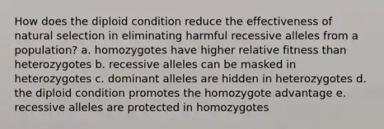 How does the diploid condition reduce the effectiveness of natural selection in eliminating harmful recessive alleles from a population? a. homozygotes have higher relative fitness than heterozygotes b. recessive alleles can be masked in heterozygotes c. dominant alleles are hidden in heterozygotes d. the diploid condition promotes the homozygote advantage e. recessive alleles are protected in homozygotes