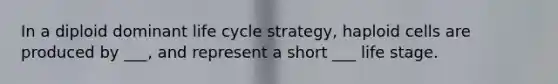 In a diploid dominant life cycle strategy, haploid cells are produced by ___, and represent a short ___ life stage.