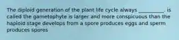 The diploid generation of the plant life cycle always __________. is called the gametophyte is larger and more conspicuous than the haploid stage develops from a spore produces eggs and sperm produces spores