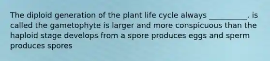 The diploid generation of the plant life cycle always __________. is called the gametophyte is larger and more conspicuous than the haploid stage develops from a spore produces eggs and sperm produces spores