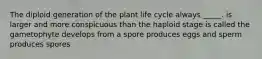 The diploid generation of the plant life cycle always _____. is larger and more conspicuous than the haploid stage is called the gametophyte develops from a spore produces eggs and sperm produces spores