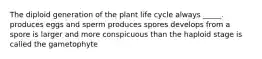 The diploid generation of the plant life cycle always _____. produces eggs and sperm produces spores develops from a spore is larger and more conspicuous than the haploid stage is called the gametophyte