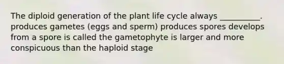 The diploid generation of the plant life cycle always __________. produces gametes (eggs and sperm) produces spores develops from a spore is called the gametophyte is larger and more conspicuous than the haploid stage