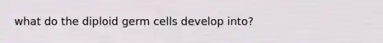 what do the diploid germ cells develop into?