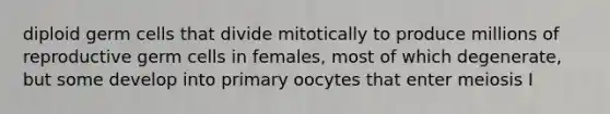 diploid germ cells that divide mitotically to produce millions of reproductive germ cells in females, most of which degenerate, but some develop into primary oocytes that enter meiosis I