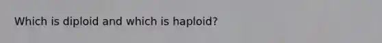 Which is diploid and which is haploid?