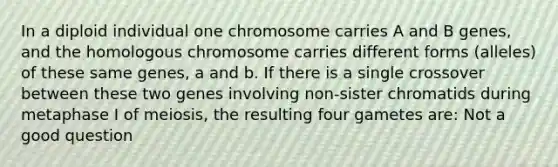 In a diploid individual one chromosome carries A and B genes, and the homologous chromosome carries different forms (alleles) of these same genes, a and b. If there is a single crossover between these two genes involving non-sister chromatids during metaphase I of meiosis, the resulting four gametes are: Not a good question