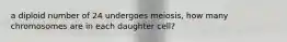 a diploid number of 24 undergoes meiosis, how many chromosomes are in each daughter cell?