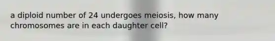 a diploid number of 24 undergoes meiosis, how many chromosomes are in each daughter cell?