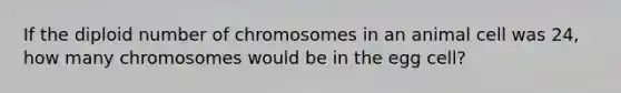 If the diploid number of chromosomes in an animal cell was 24, how many chromosomes would be in the egg cell?