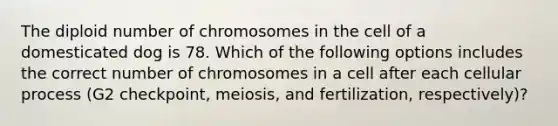 The diploid number of chromosomes in the cell of a domesticated dog is 78. Which of the following options includes the correct number of chromosomes in a cell after each cellular process (G2 checkpoint, meiosis, and fertilization, respectively)?