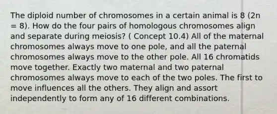 The diploid number of chromosomes in a certain animal is 8 (2n = 8). How do the four pairs of homologous chromosomes align and separate during meiosis? ( Concept 10.4) All of the maternal chromosomes always move to one pole, and all the paternal chromosomes always move to the other pole. All 16 chromatids move together. Exactly two maternal and two paternal chromosomes always move to each of the two poles. The first to move influences all the others. They align and assort independently to form any of 16 different combinations.