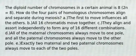 The diploid number of chromosomes in a certain animal is 8 (2n = 8). How do the four pairs of homologous chromosomes align and separate during meiosis? a.)The first to move influences all the others. b.)All 16 chromatids move together. c.)They align and assort independently to form any of 16 different combinations. d.)All of the maternal chromosomes always move to one pole, and all the paternal chromosomes always move to the other pole. e.)Exactly two maternal and two paternal chromosomes always move to each of the two poles.