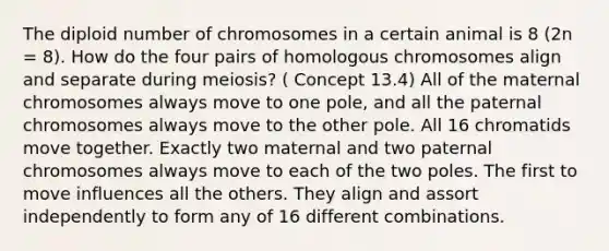 The diploid number of chromosomes in a certain animal is 8 (2n = 8). How do the four pairs of homologous chromosomes align and separate during meiosis? ( Concept 13.4) All of the maternal chromosomes always move to one pole, and all the paternal chromosomes always move to the other pole. All 16 chromatids move together. Exactly two maternal and two paternal chromosomes always move to each of the two poles. The first to move influences all the others. They align and assort independently to form any of 16 different combinations.