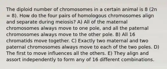 The diploid number of chromosomes in a certain animal is 8 (2n = 8). How do the four pairs of homologous chromosomes align and separate during meiosis? A) All of the maternal chromosomes always move to one pole, and all the paternal chromosomes always move to the other pole. B) All 16 chromatids move together. C) Exactly two maternal and two paternal chromosomes always move to each of the two poles. D) The first to move influences all the others. E) They align and assort independently to form any of 16 different combinations.