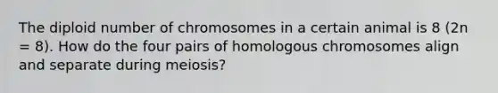 The diploid number of chromosomes in a certain animal is 8 (2n = 8). How do the four pairs of homologous chromosomes align and separate during meiosis?