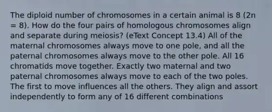 The diploid number of chromosomes in a certain animal is 8 (2n = 8). How do the four pairs of homologous chromosomes align and separate during meiosis? (eText Concept 13.4) All of the maternal chromosomes always move to one pole, and all the paternal chromosomes always move to the other pole. All 16 chromatids move together. Exactly two maternal and two paternal chromosomes always move to each of the two poles. The first to move influences all the others. They align and assort independently to form any of 16 different combinations