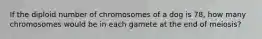 If the diploid number of chromosomes of a dog is 78, how many chromosomes would be in each gamete at the end of meiosis?