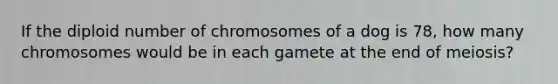 If the diploid number of chromosomes of a dog is 78, how many chromosomes would be in each gamete at the end of meiosis?