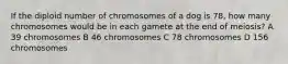 If the diploid number of chromosomes of a dog is 78, how many chromosomes would be in each gamete at the end of meiosis? A 39 chromosomes B 46 chromosomes C 78 chromosomes D 156 chromosomes