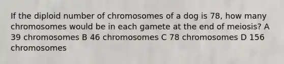 If the diploid number of chromosomes of a dog is 78, how many chromosomes would be in each gamete at the end of meiosis? A 39 chromosomes B 46 chromosomes C 78 chromosomes D 156 chromosomes